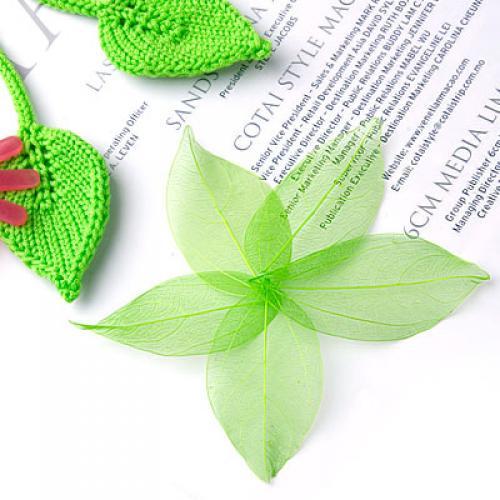 Natural Catbrier Skeleton Leav – обзор и цена Craft Embellishment