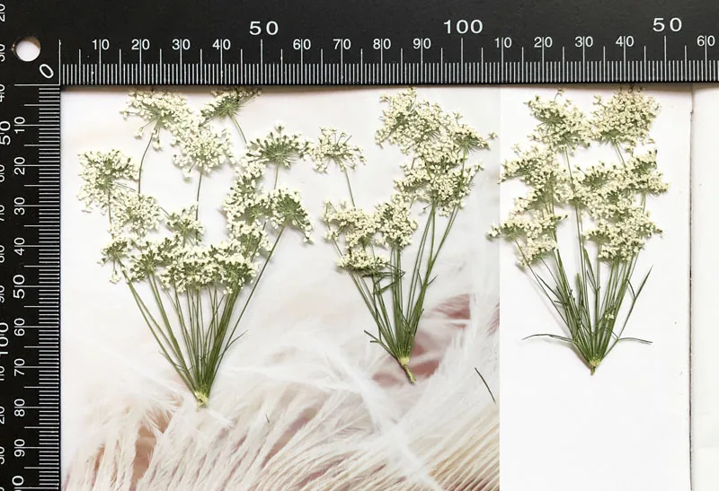 5-7cm/12pcs,Snow Tiny Flowers  – обзор и цена Craft Embellishment