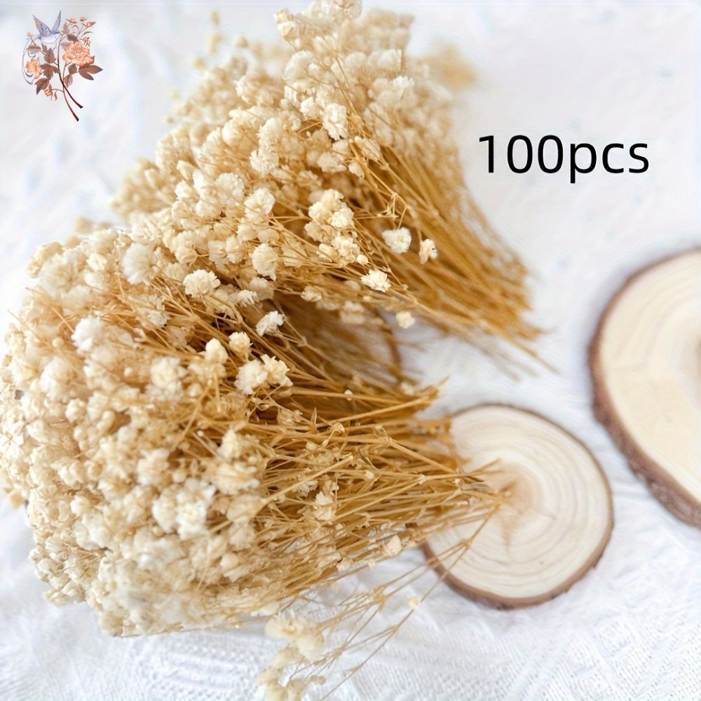 100pcs Mini Dried Baby's Breat – обзор и цена Craft Embellishment
